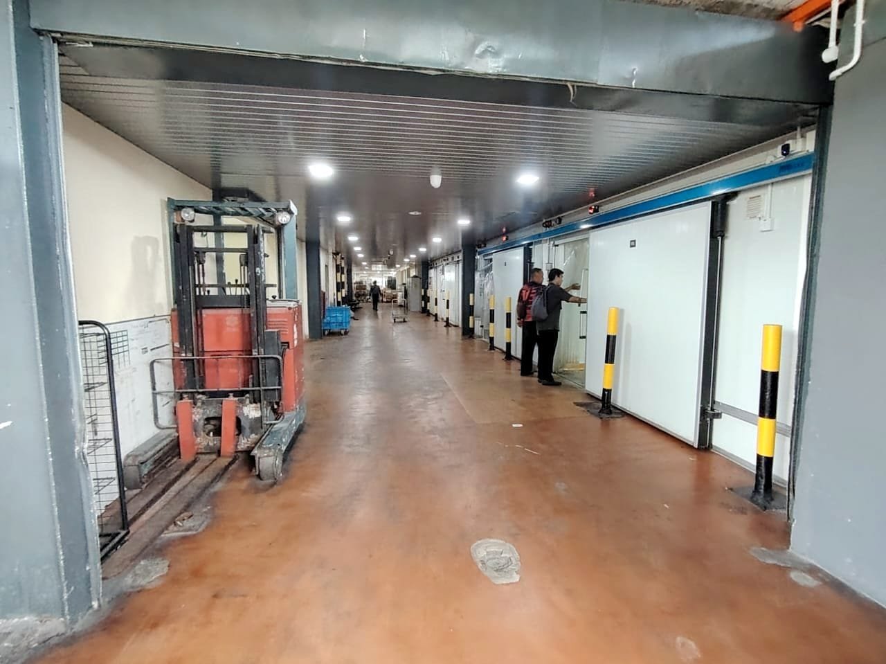 Forklift parked along the cold-room corridor of the Luxamana warehouse